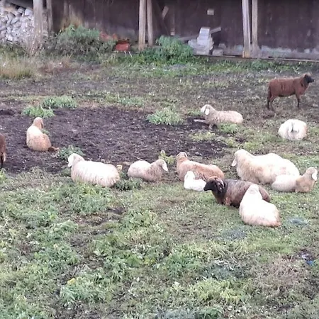 Bergheim - 아파트 가르미슈파르텐키르헨